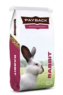 Rabbit feed for health and vitality | Payback Nutrition
