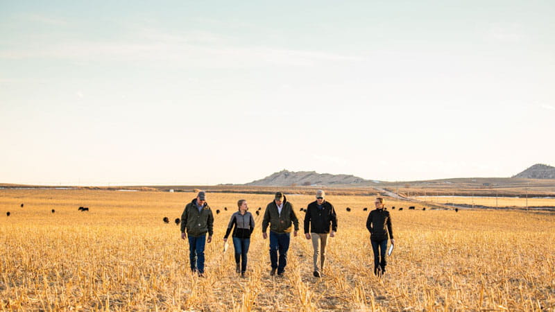 agronomists consulting farmers men women field farm
